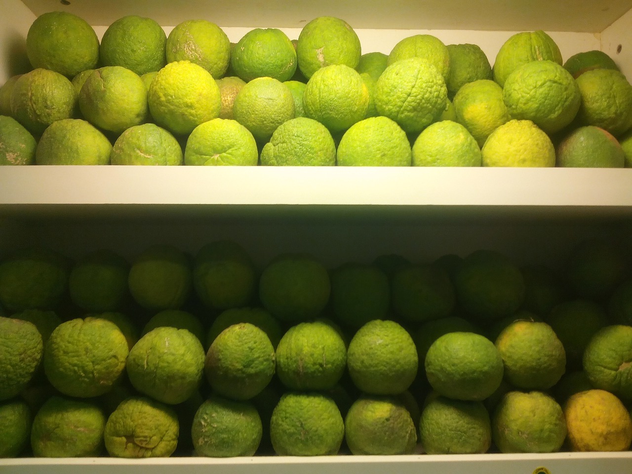 fruit shelf display free photo