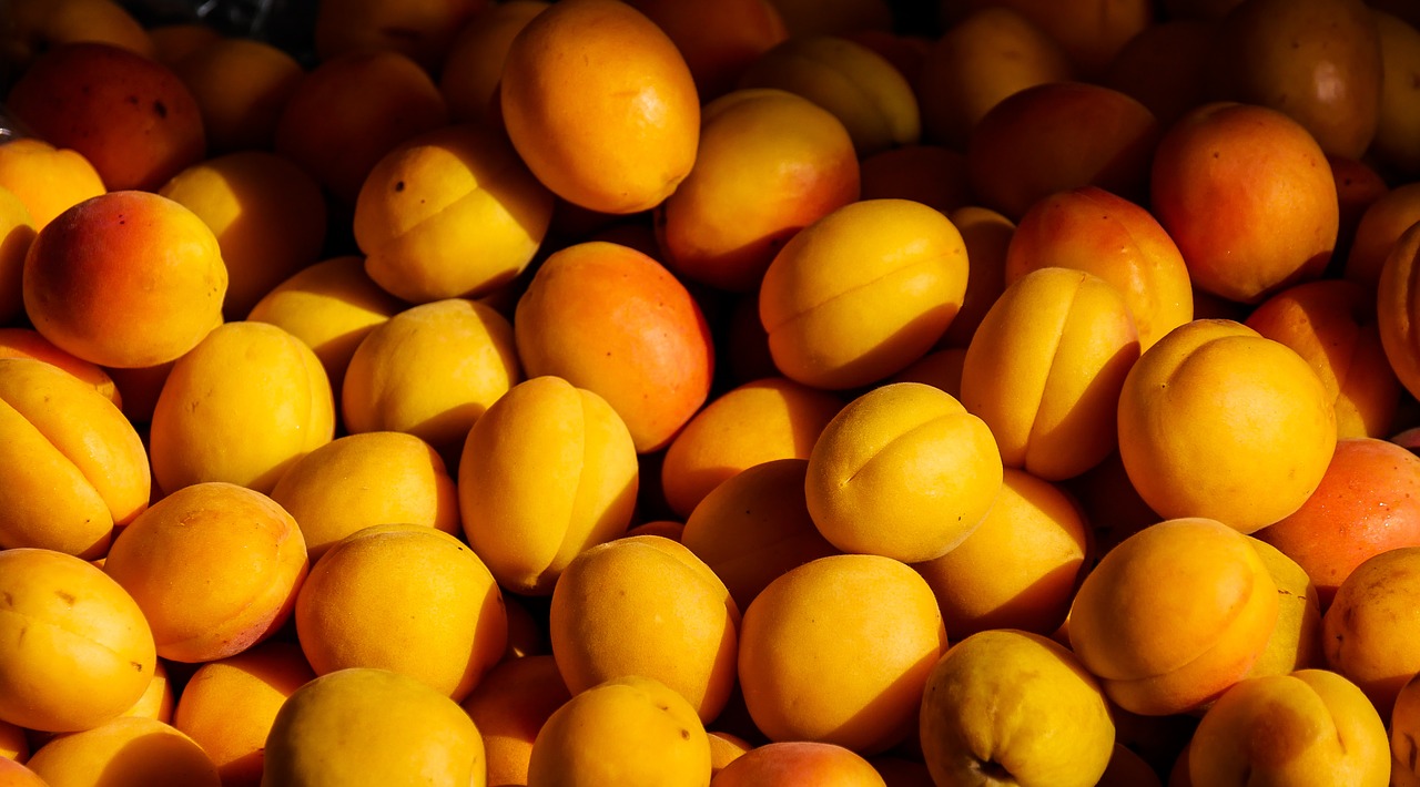 fruit apricot peaches free photo