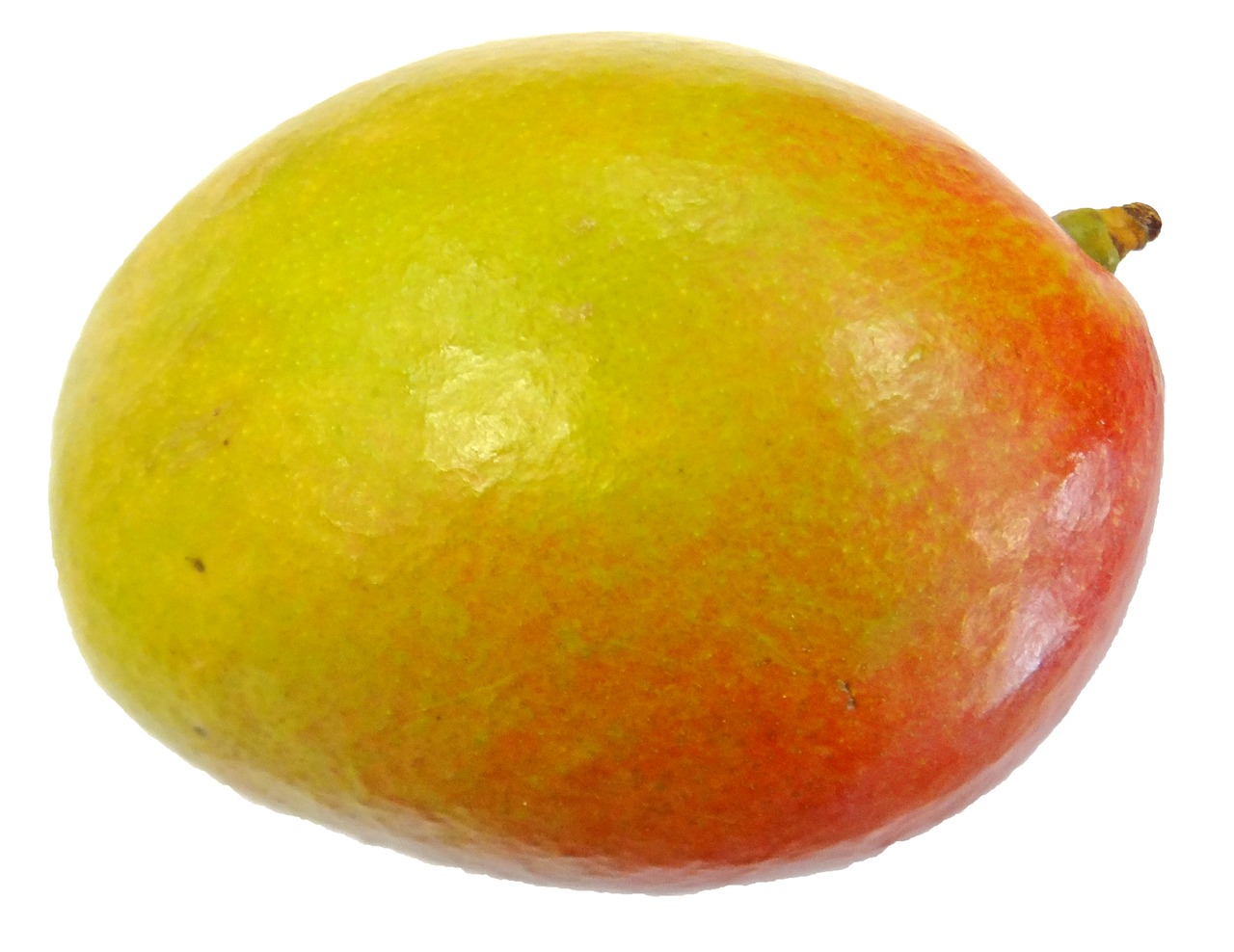 fruit mango food free photo
