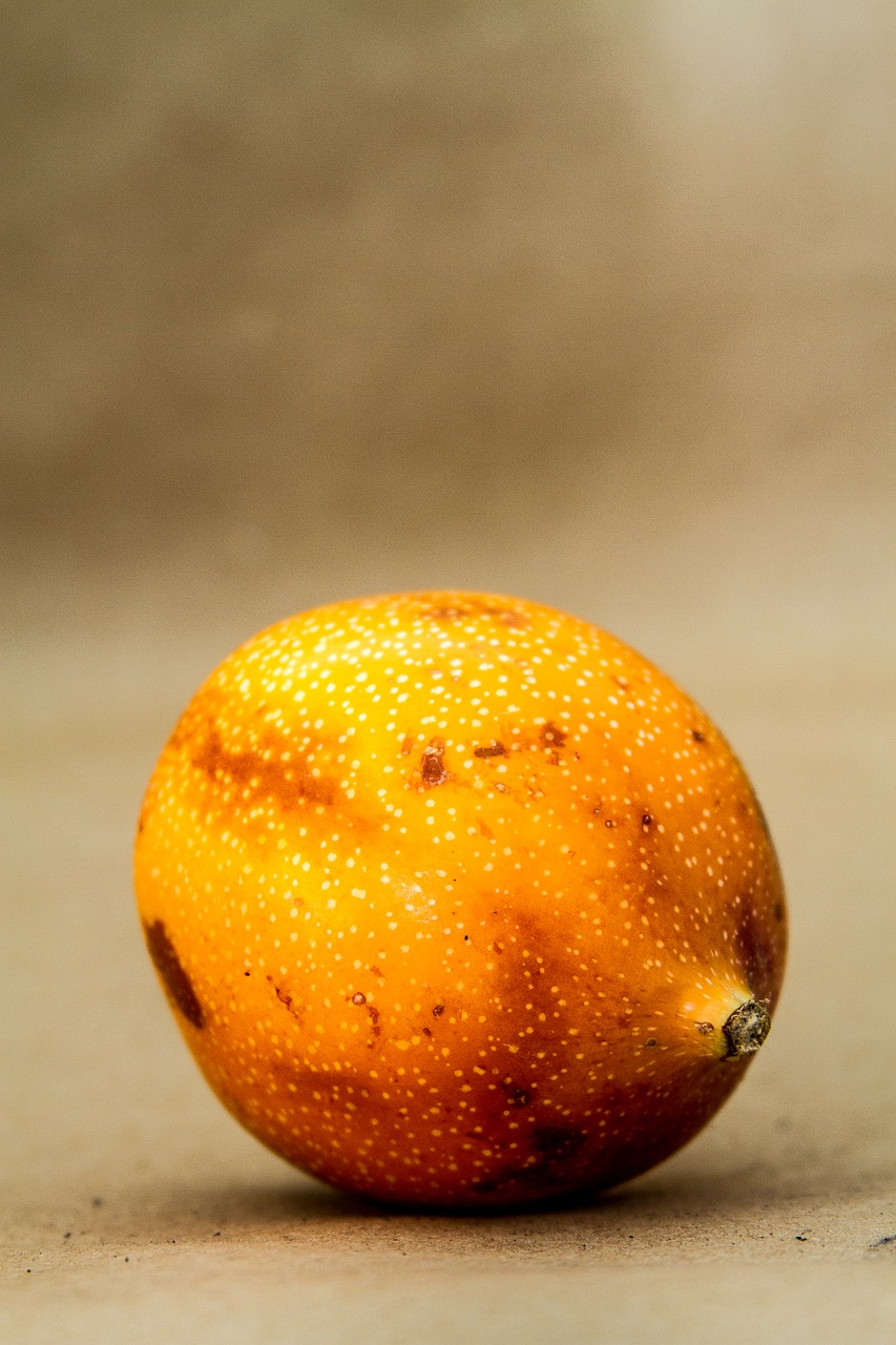 fruit granadilla seeds free photo