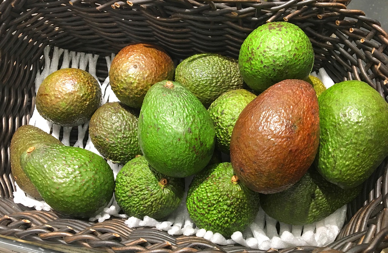 fruit avocado avocado basket free photo