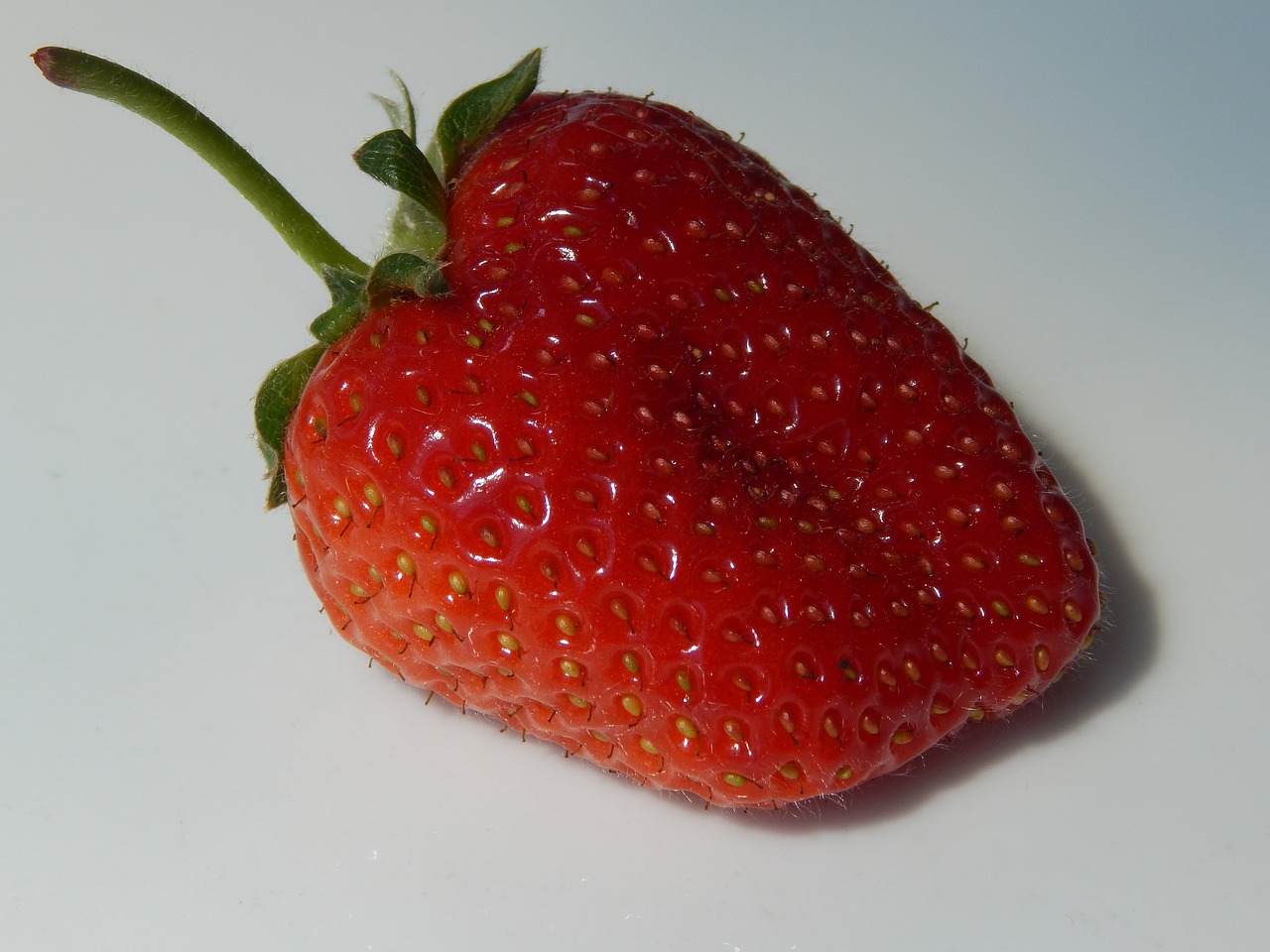 fruit strawberry food free photo