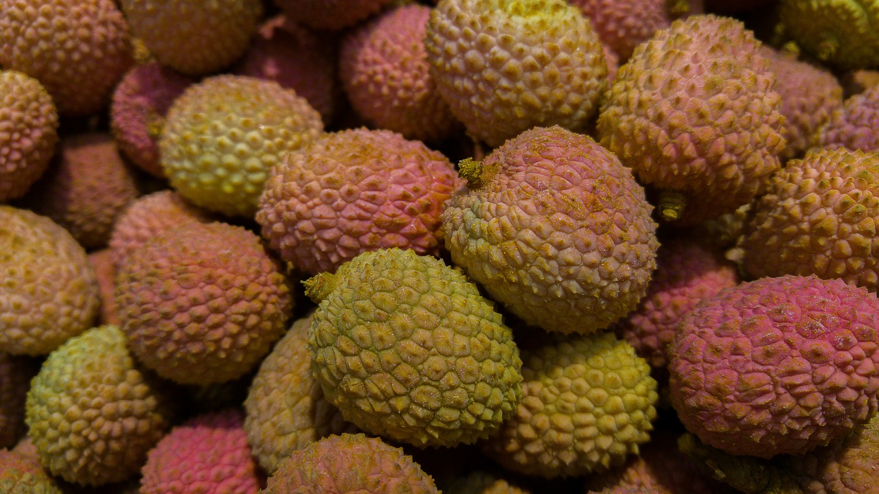 fruit exotic litchi free photo