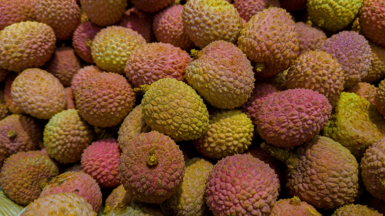 fruit exotic litchi free photo