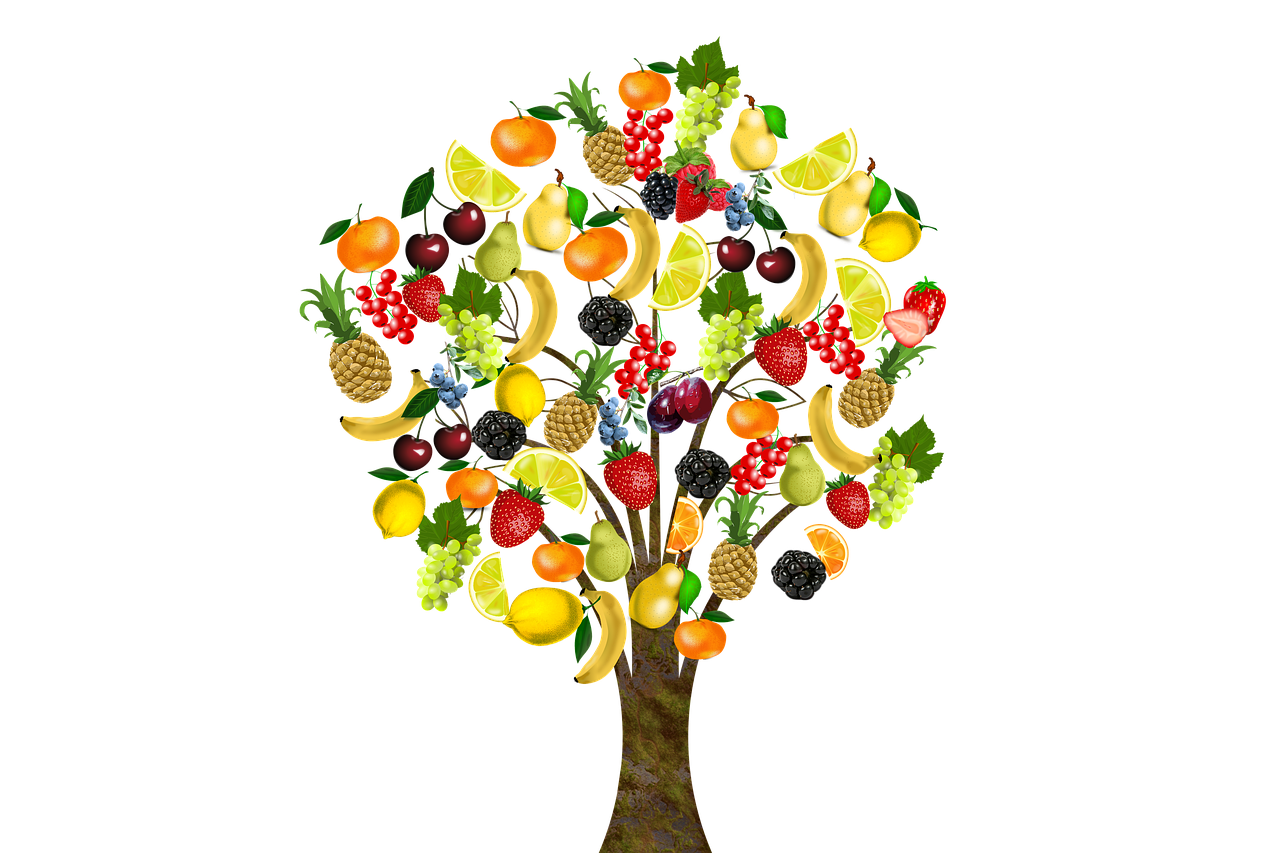 fruit fruit tree bless you free photo