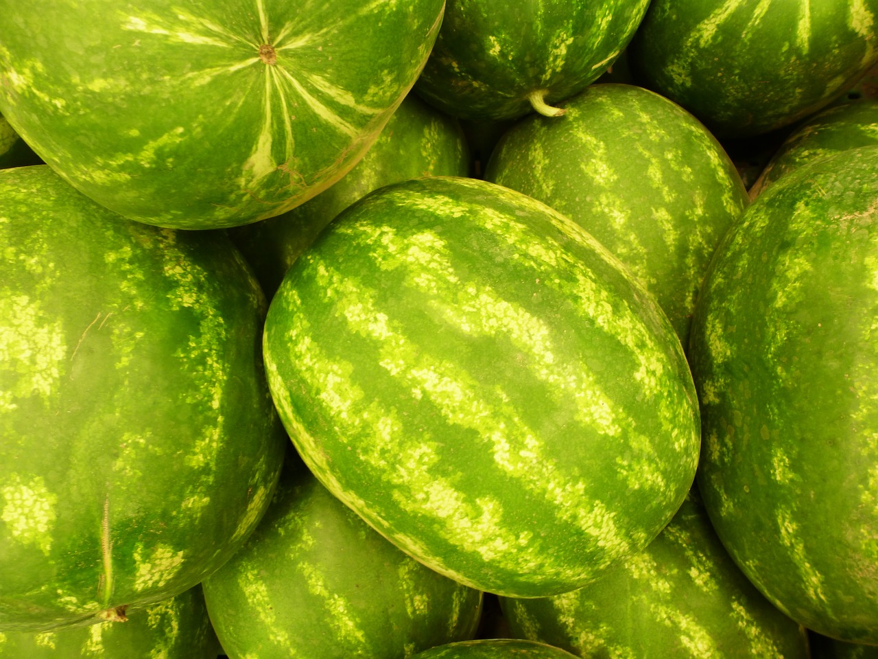 fruit green watermelon free photo