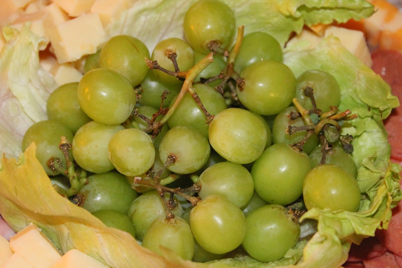 fruit grapes food free photo