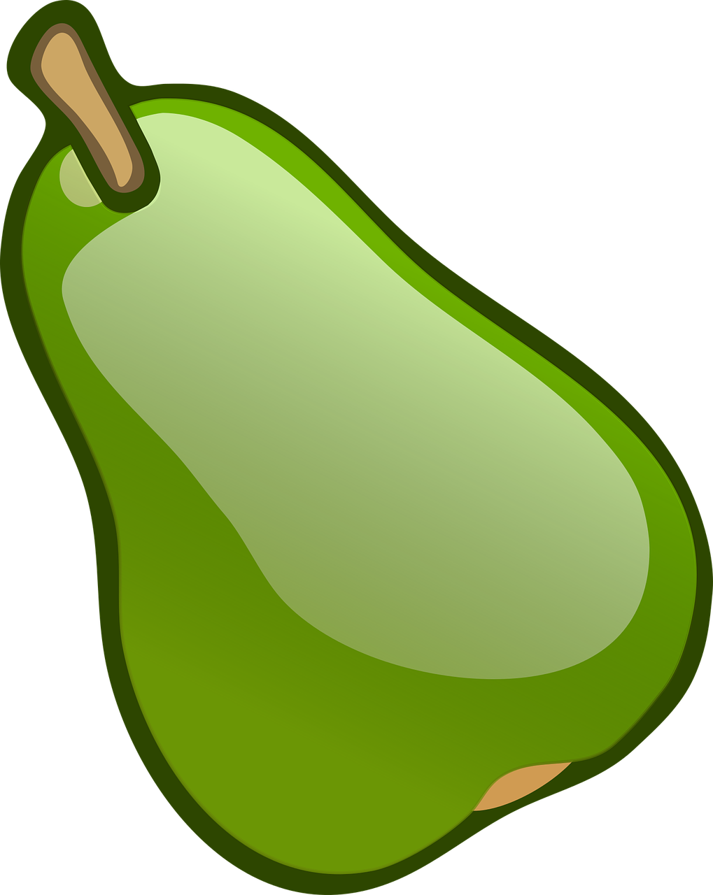 fruit green pear free photo