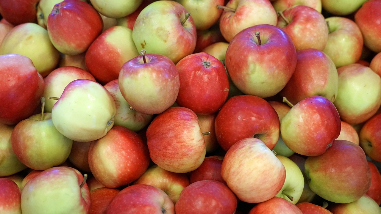 fruit apple fruits free photo