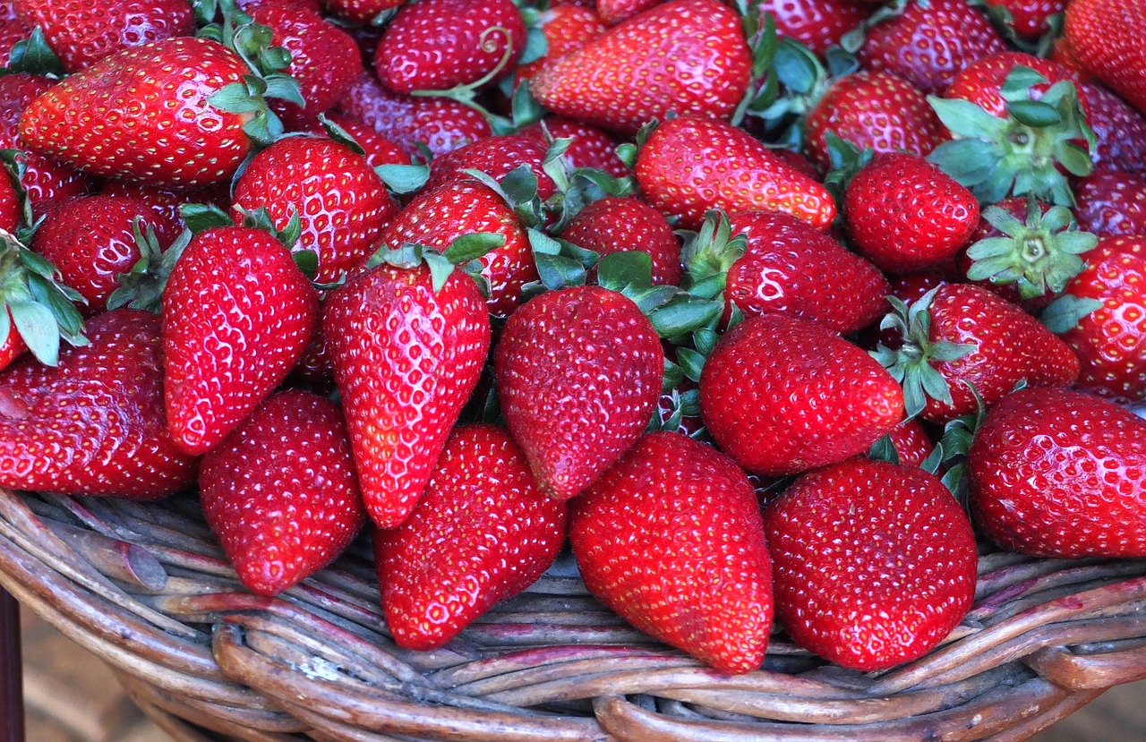 fruit red strawberry free photo