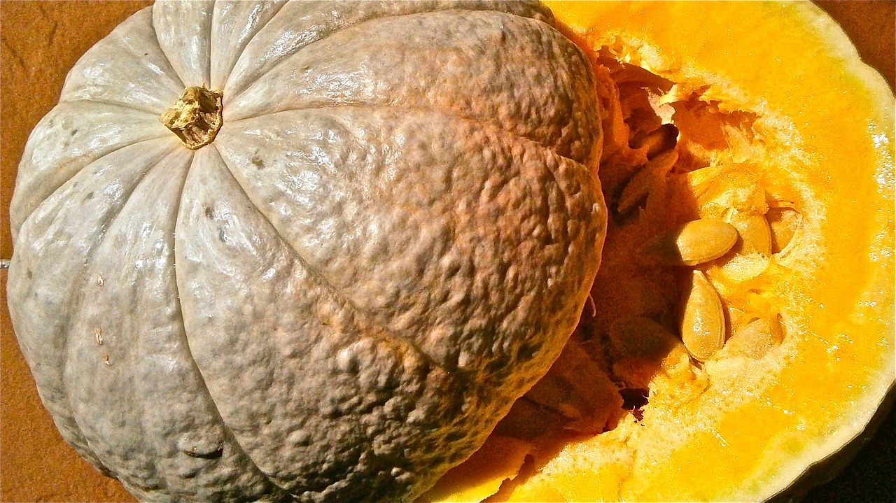 fruit seed pumpkin free photo