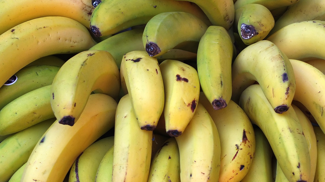 fruit bananas food free photo