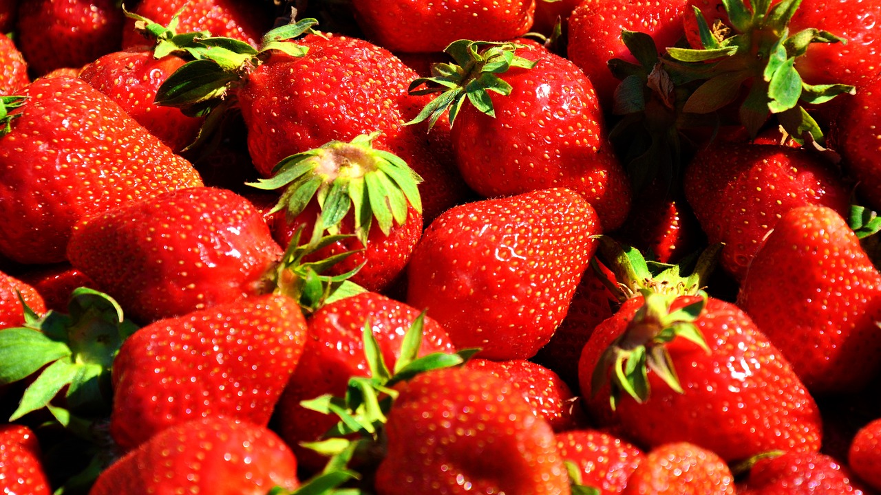 fruit strawberry red strawberries free photo