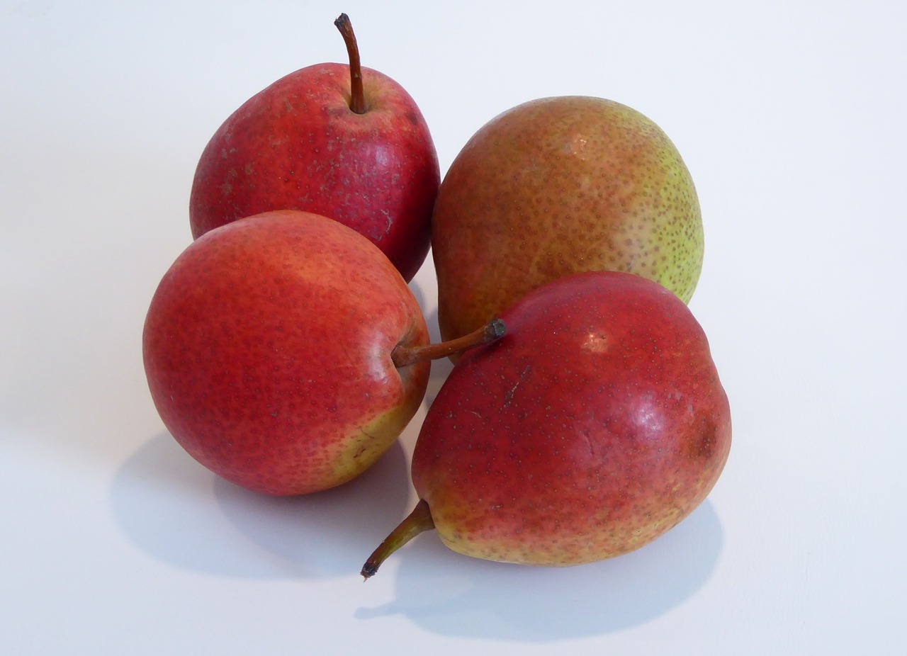 fruit pears fruits free photo