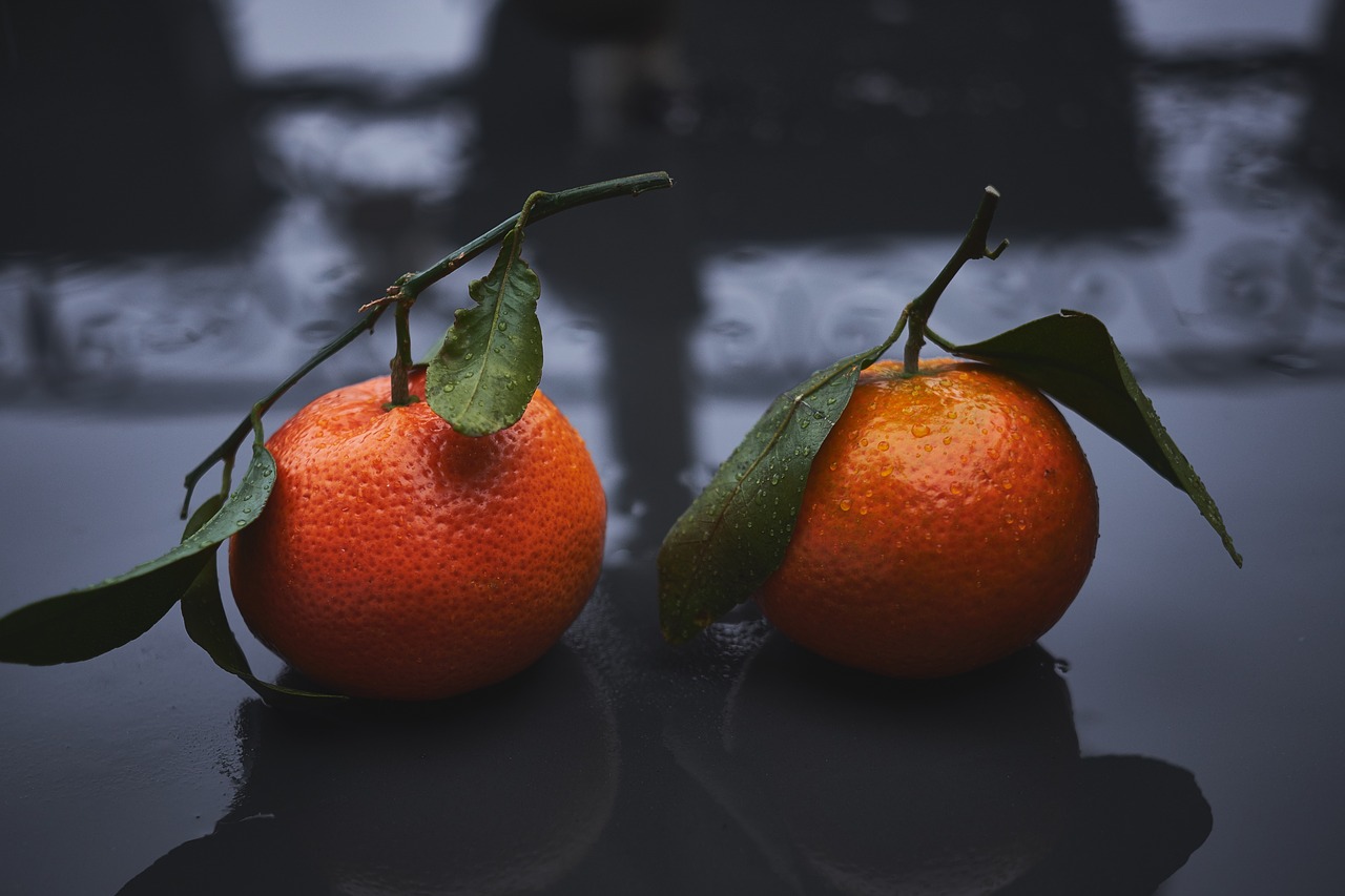 fruit citrus orange free photo