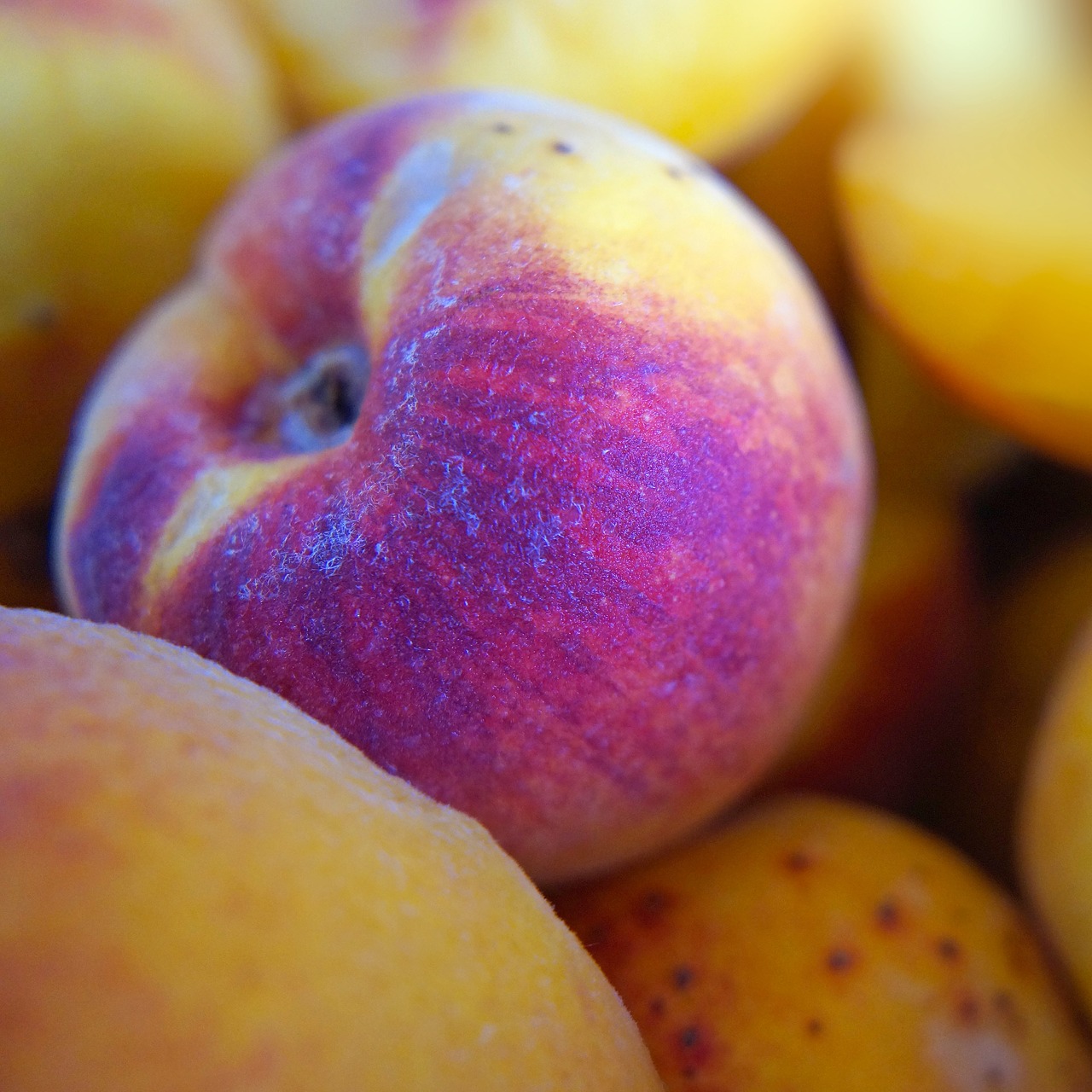 fruit peach summer free photo