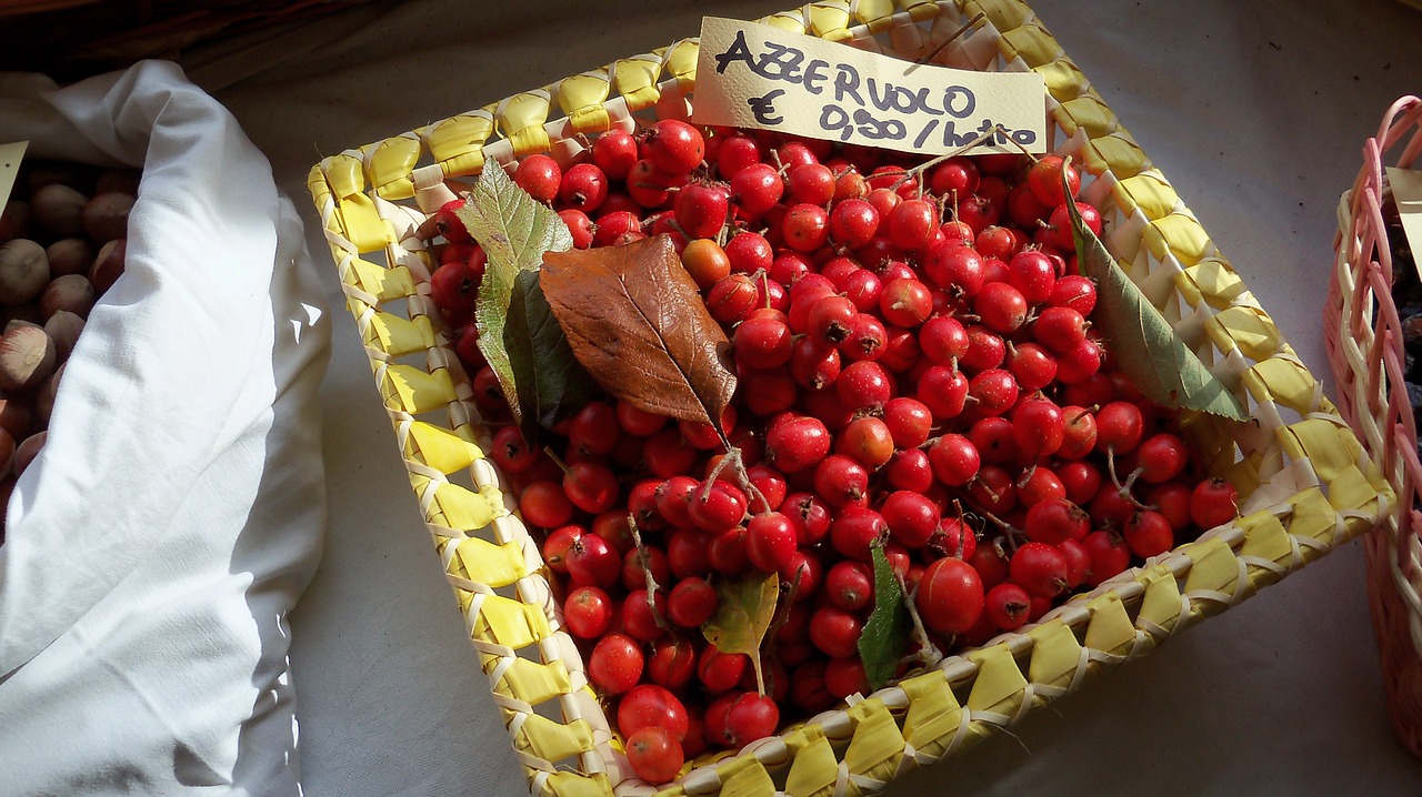 fruit basket eat free photo