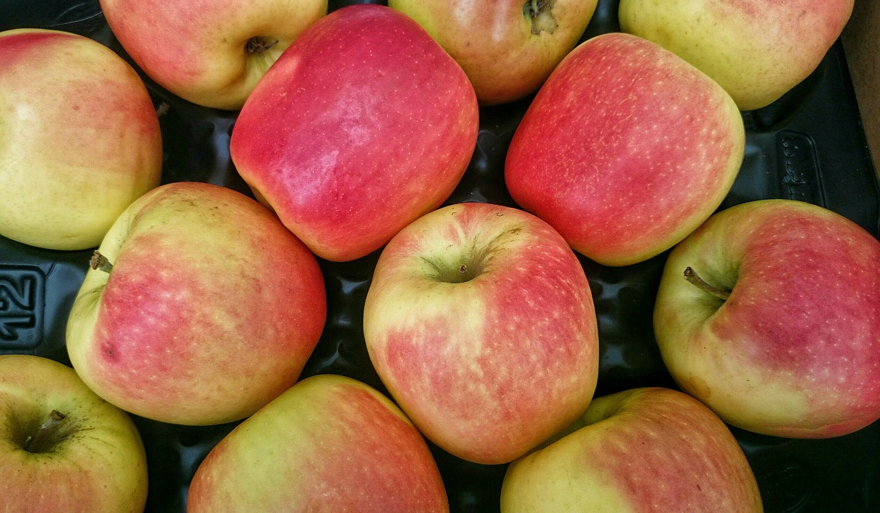 fruit ripe apples eco-friendly free photo