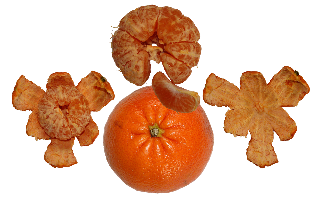 fruit tangerine orange free photo