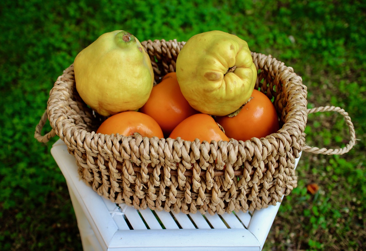 fruit quince khaki free photo