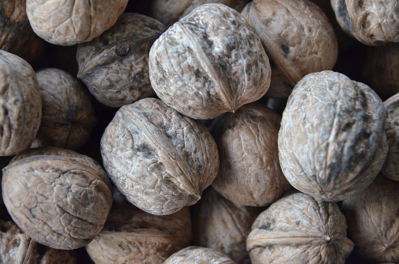 fruit secca walnuts free photo