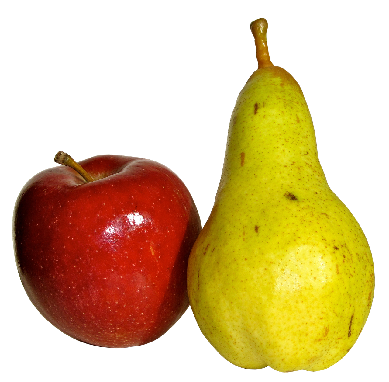 fruit pear food free photo
