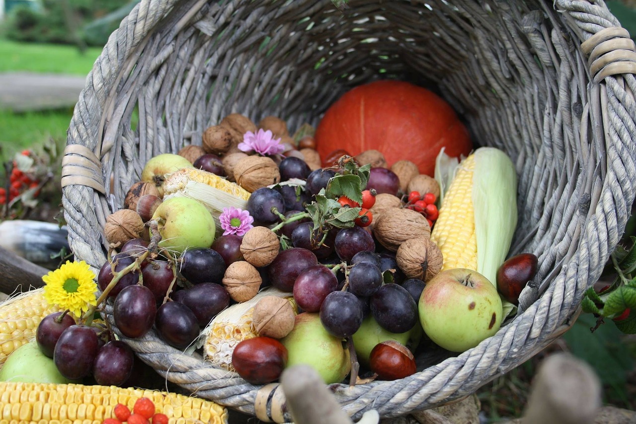 fruit autumn grapes free photo