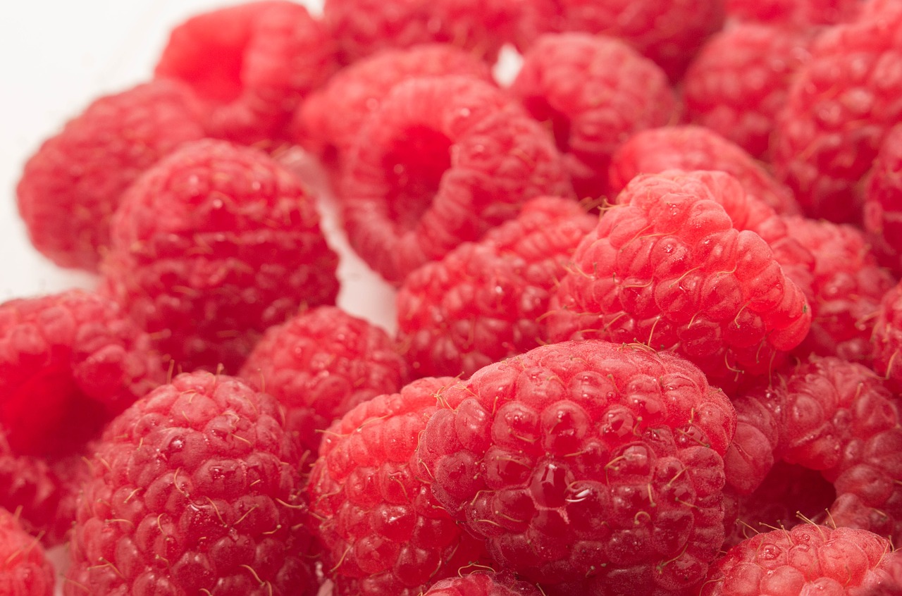 fruit food raspberry free photo