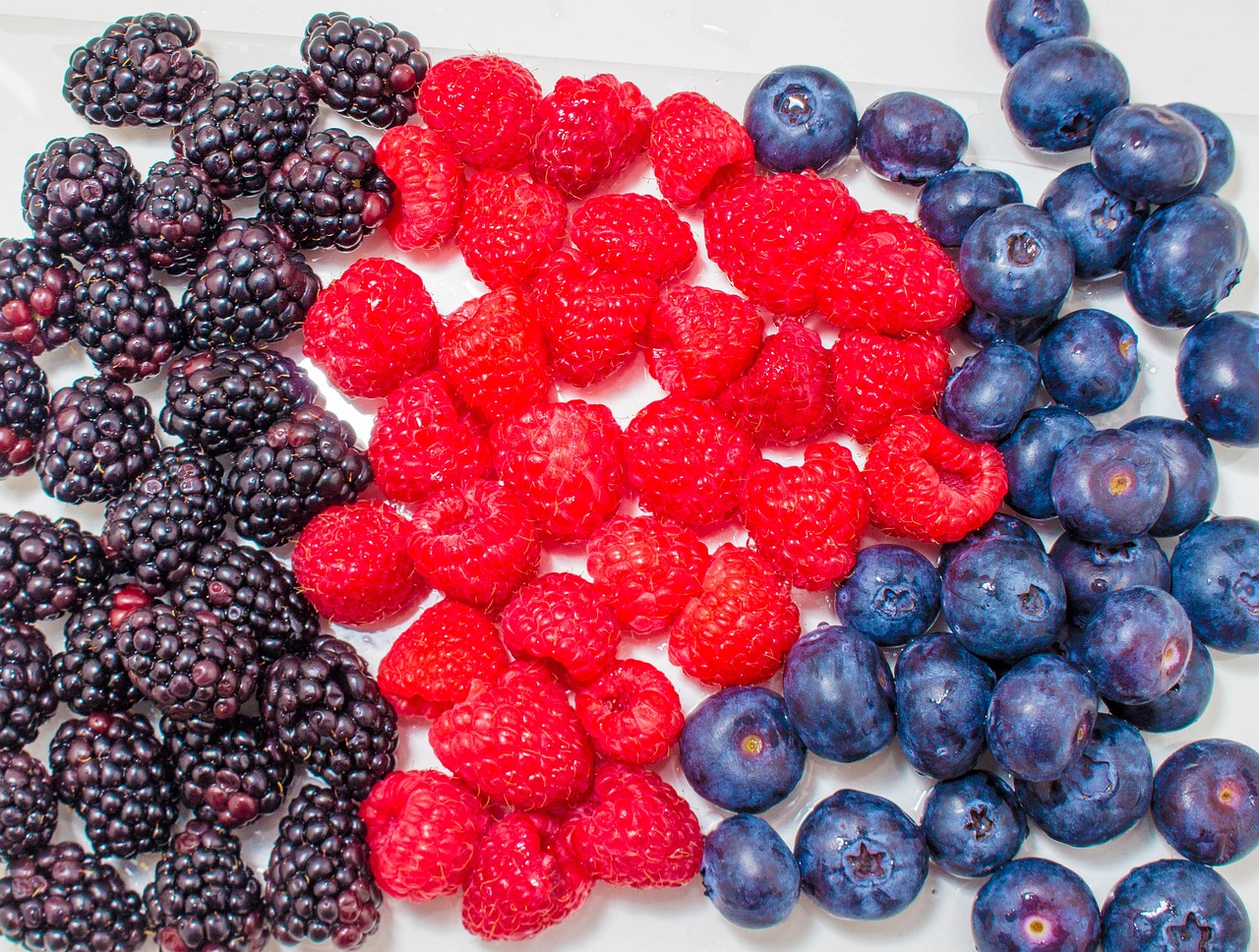 fruit blueberry food free photo