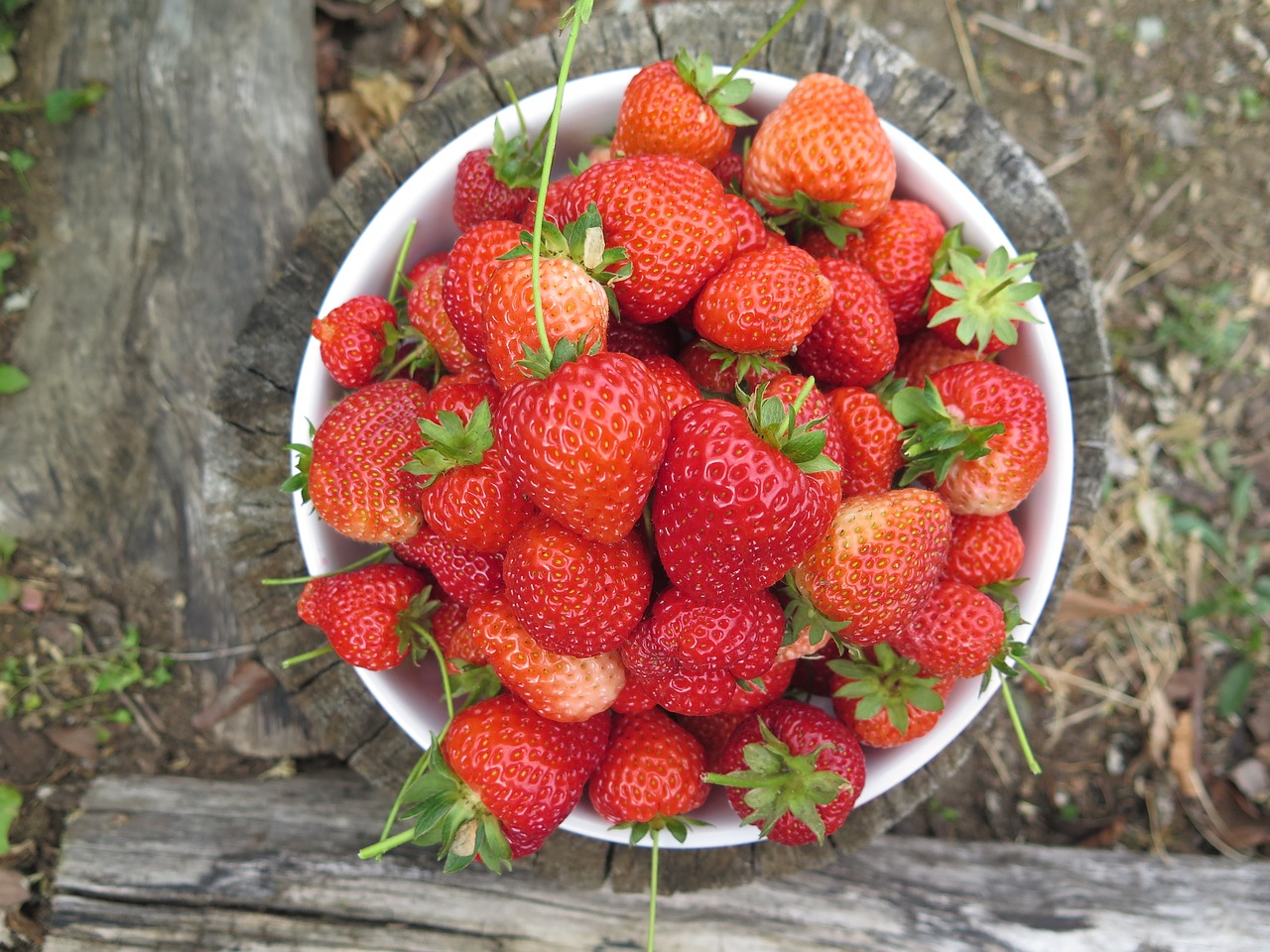 fruit food strawberry free photo