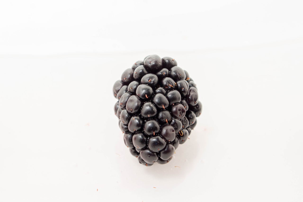 fruit berry closeup free photo