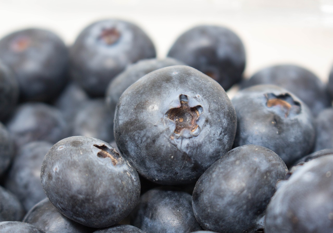 fruit blueberry juicy free photo