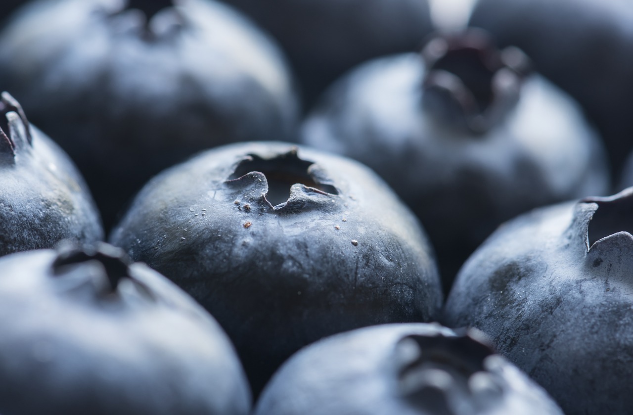 fruit blueberry juicy free photo