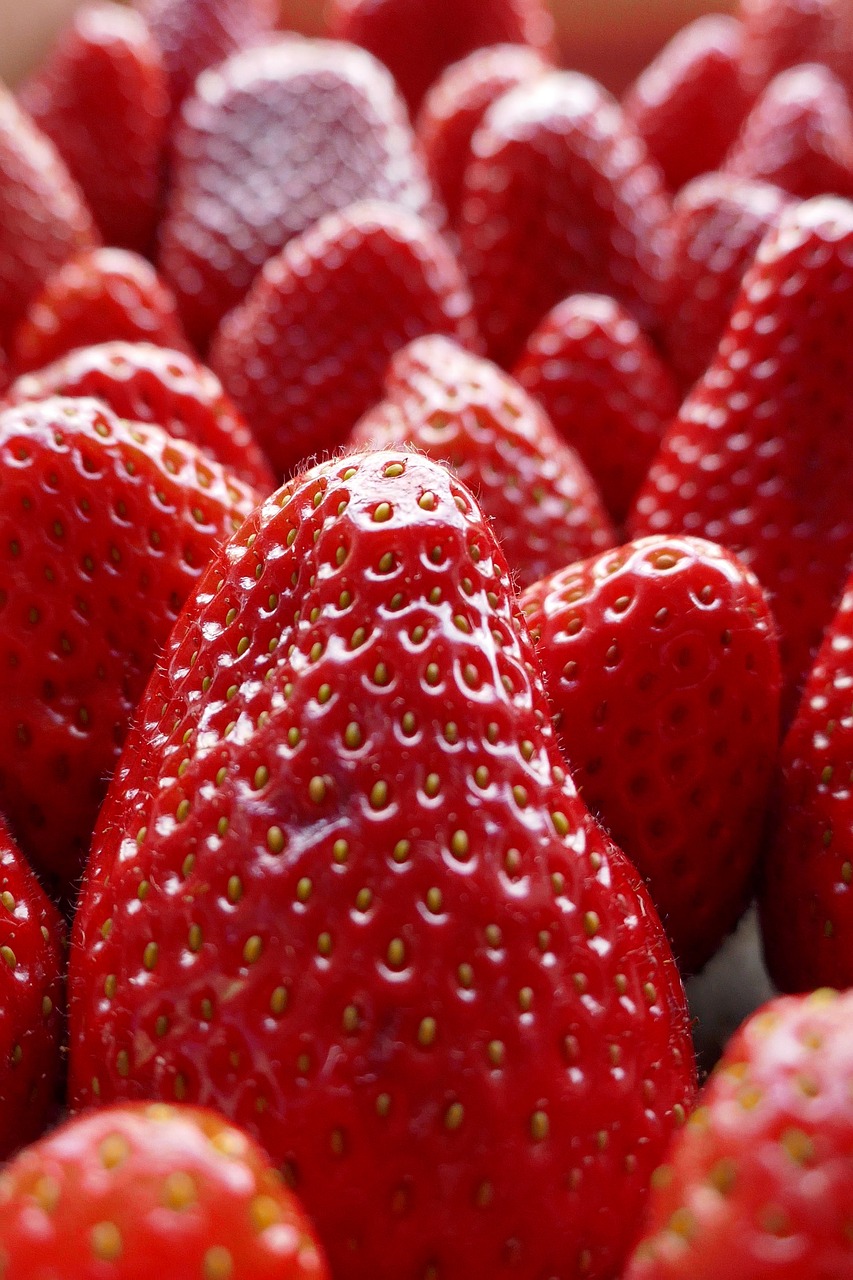 fruit  strawberry  berry free photo
