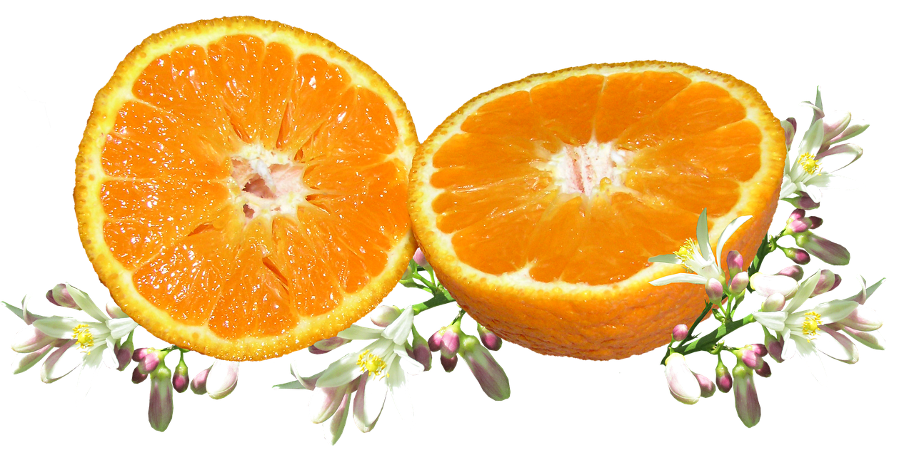 fruit  orange  blossom free photo