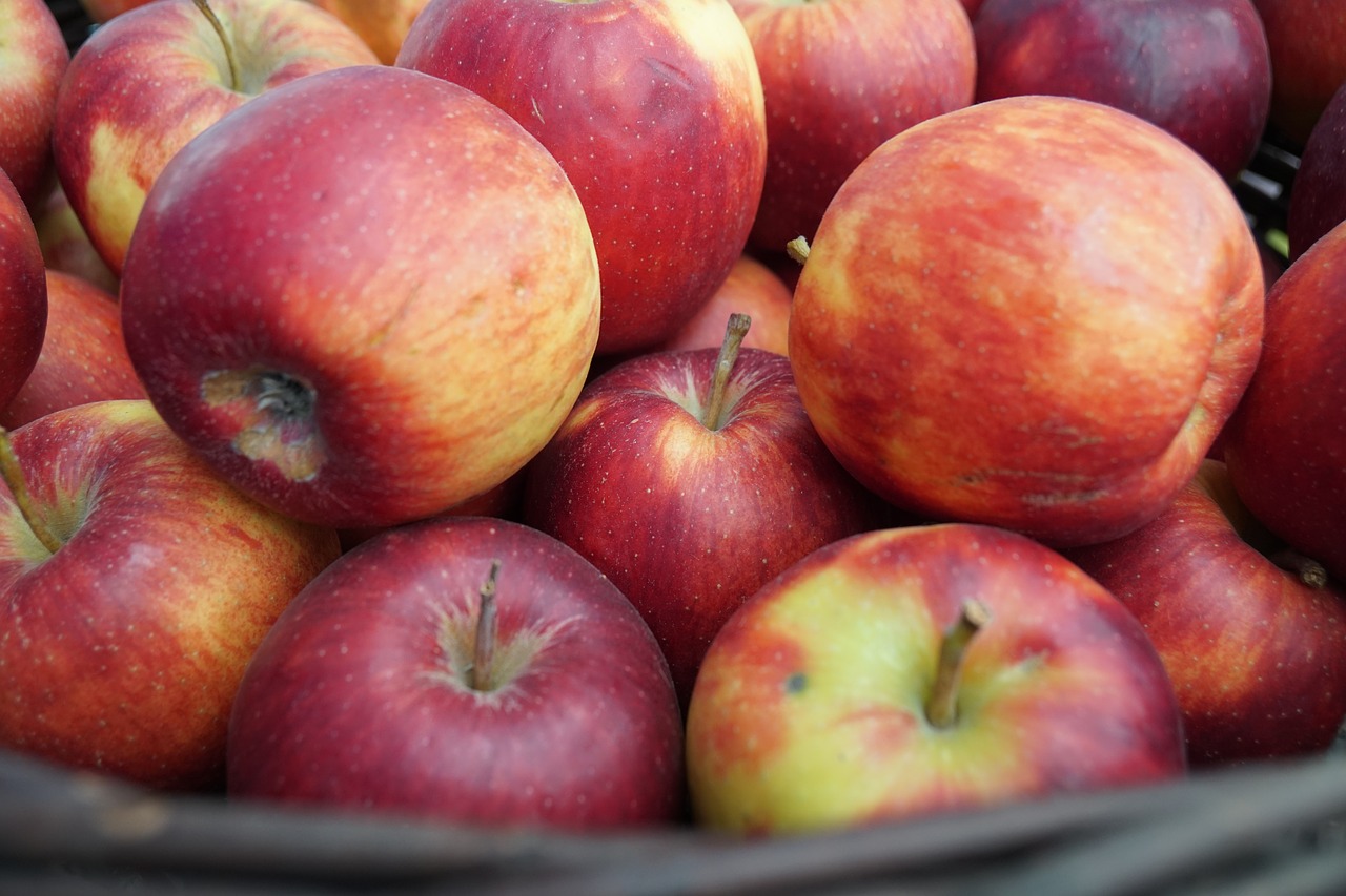 fruit  apple  food free photo