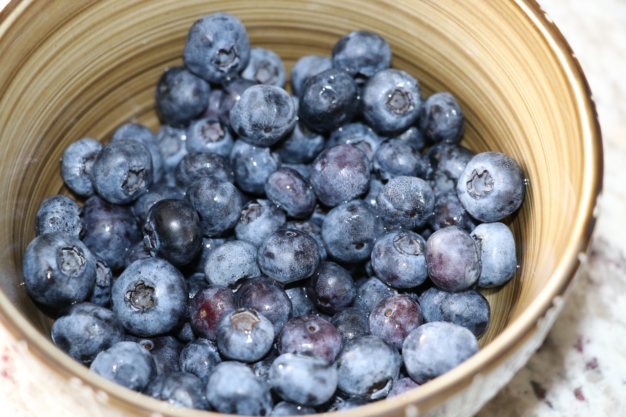 fruit  food  blueberry free photo