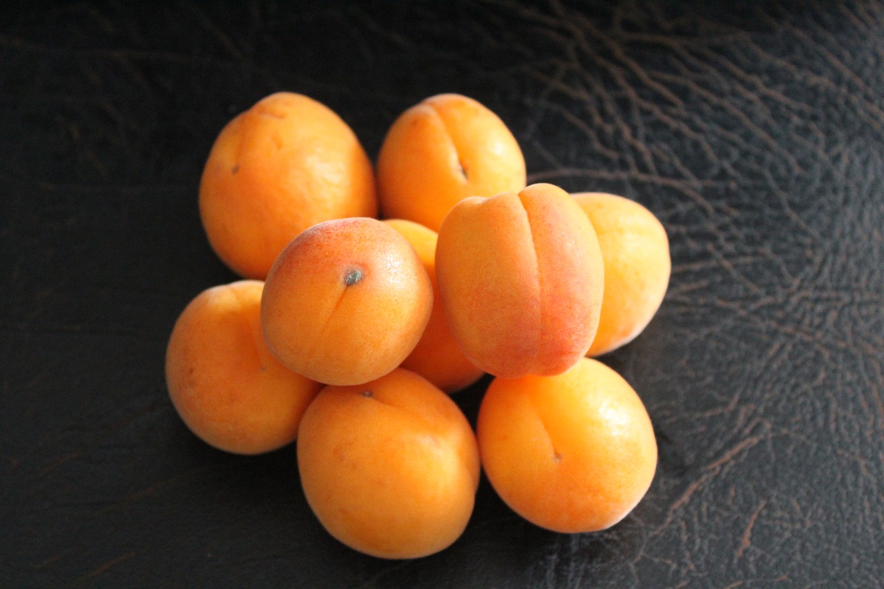 fruit  apricots  mediterranean free photo