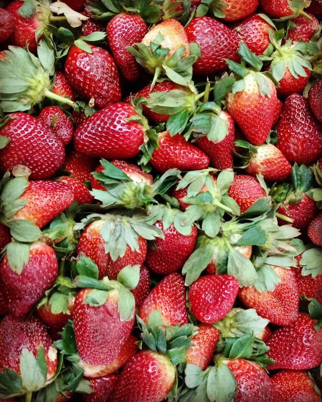 fruit  red  strawberries free photo