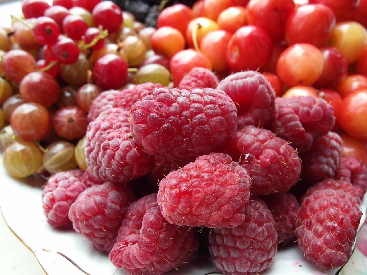 fruit  raspberries  mulberry free photo