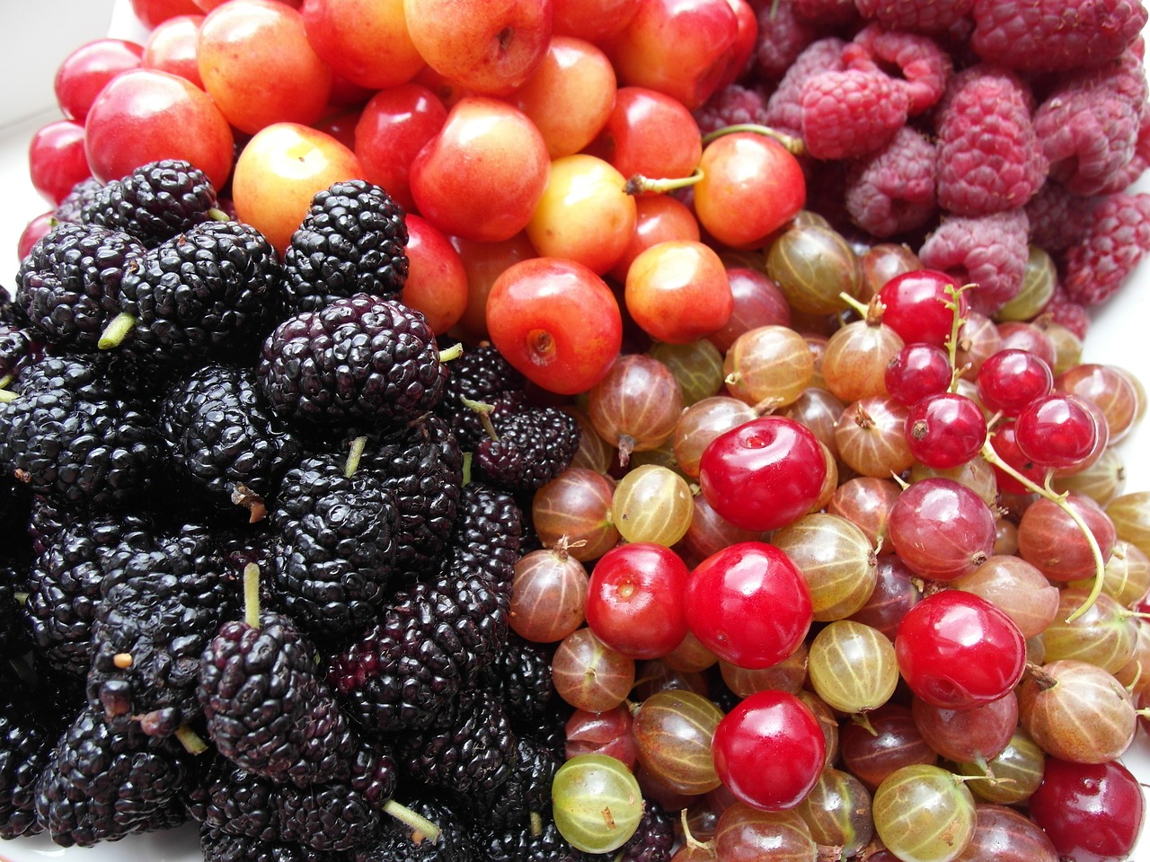 fruit  raspberries  mulberry free photo