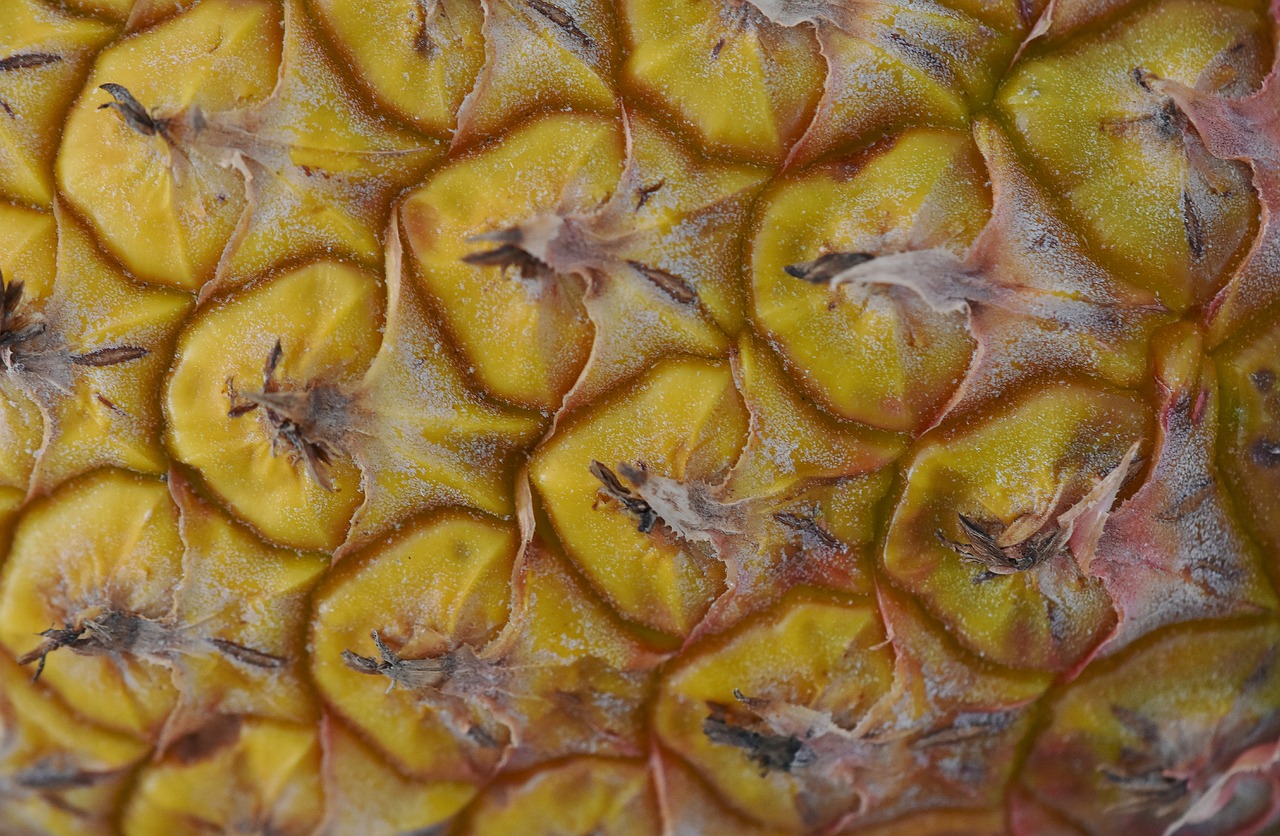 fruit  pineapple  skin free photo