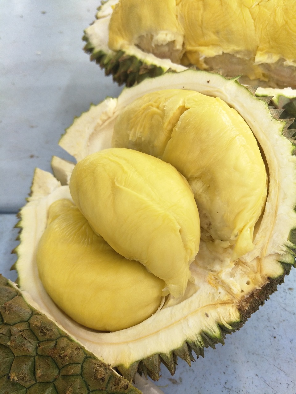 fruit  durian  tropical fruit free photo