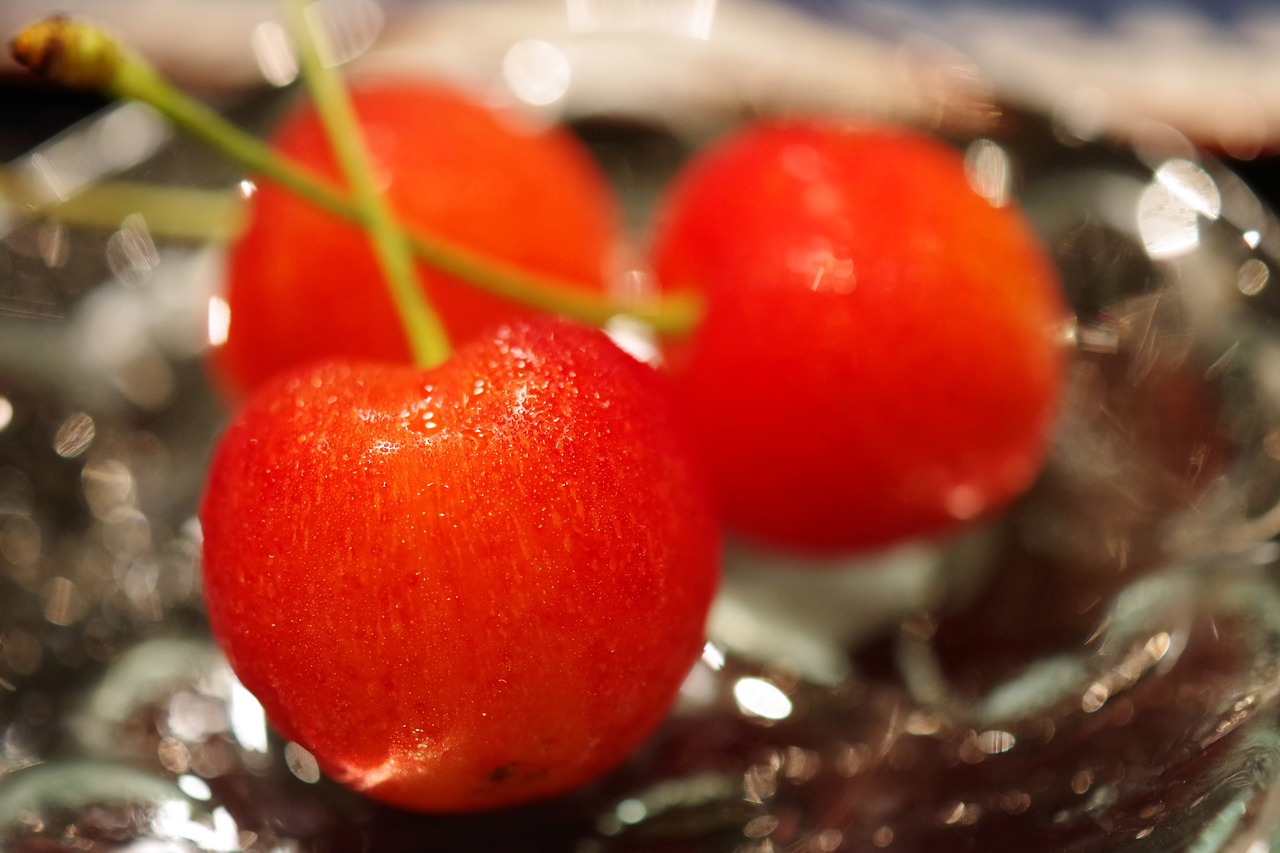 fruit  and cherries  sato nishiki free photo