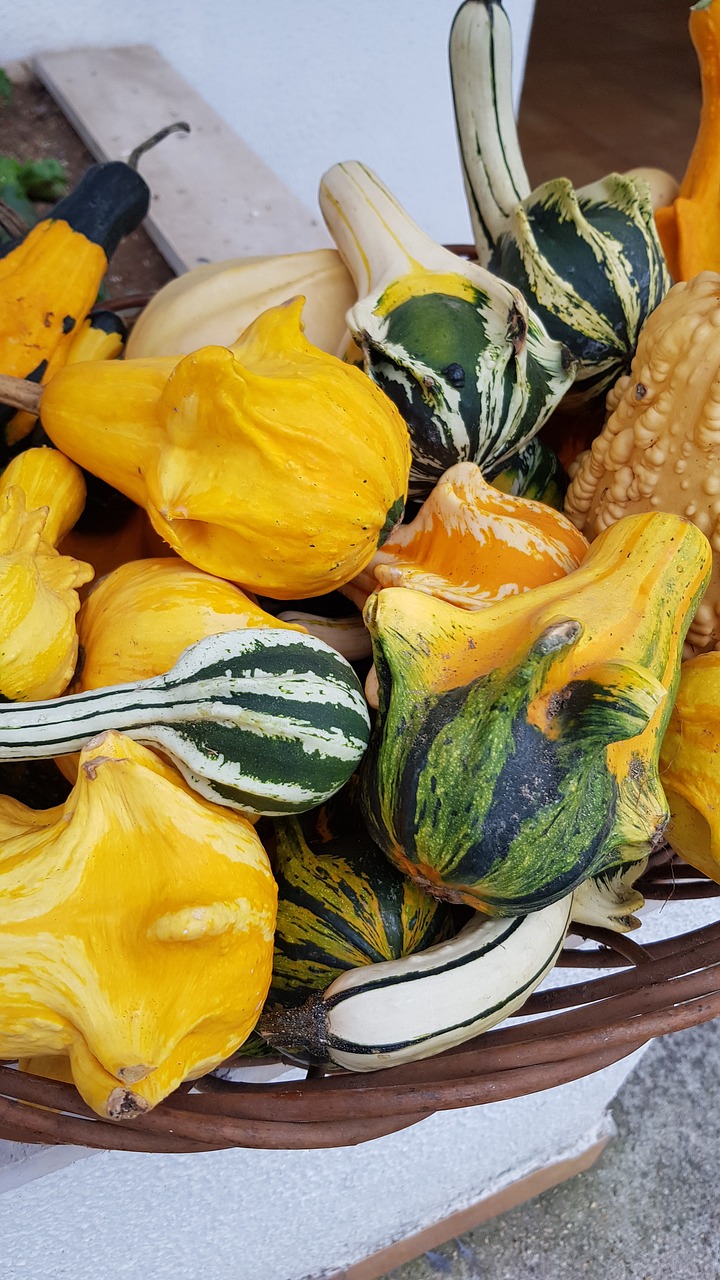 fruit  pumpkin  yellow free photo