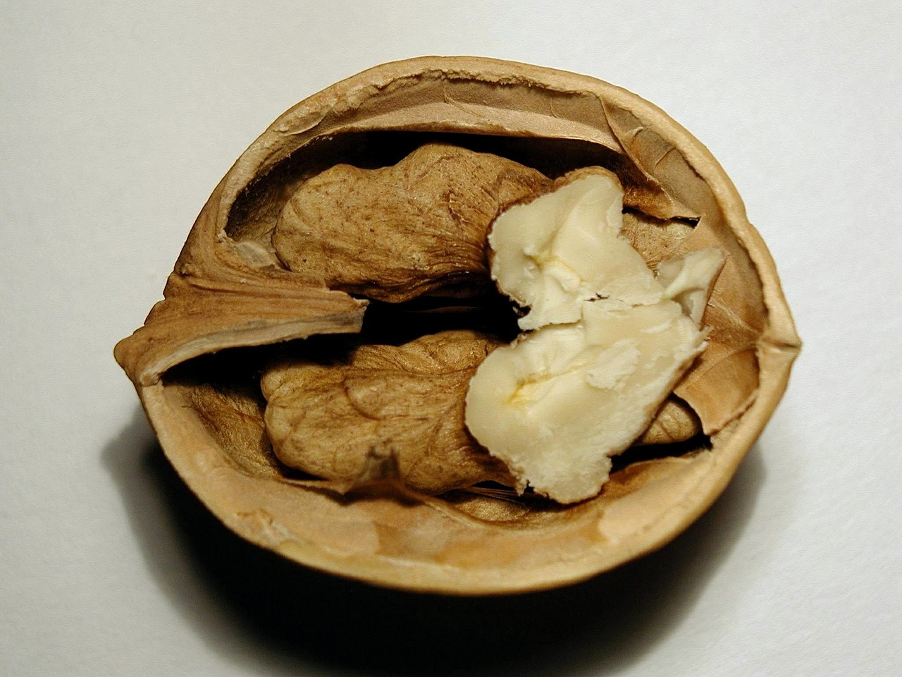 fruit nut walnuts free photo