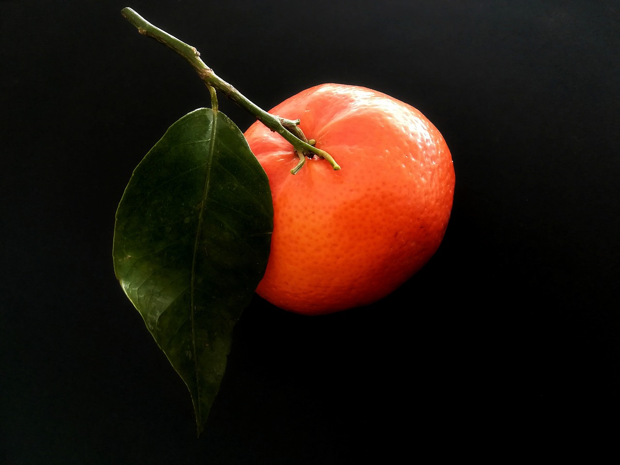 fruit  clementine  citrus free photo