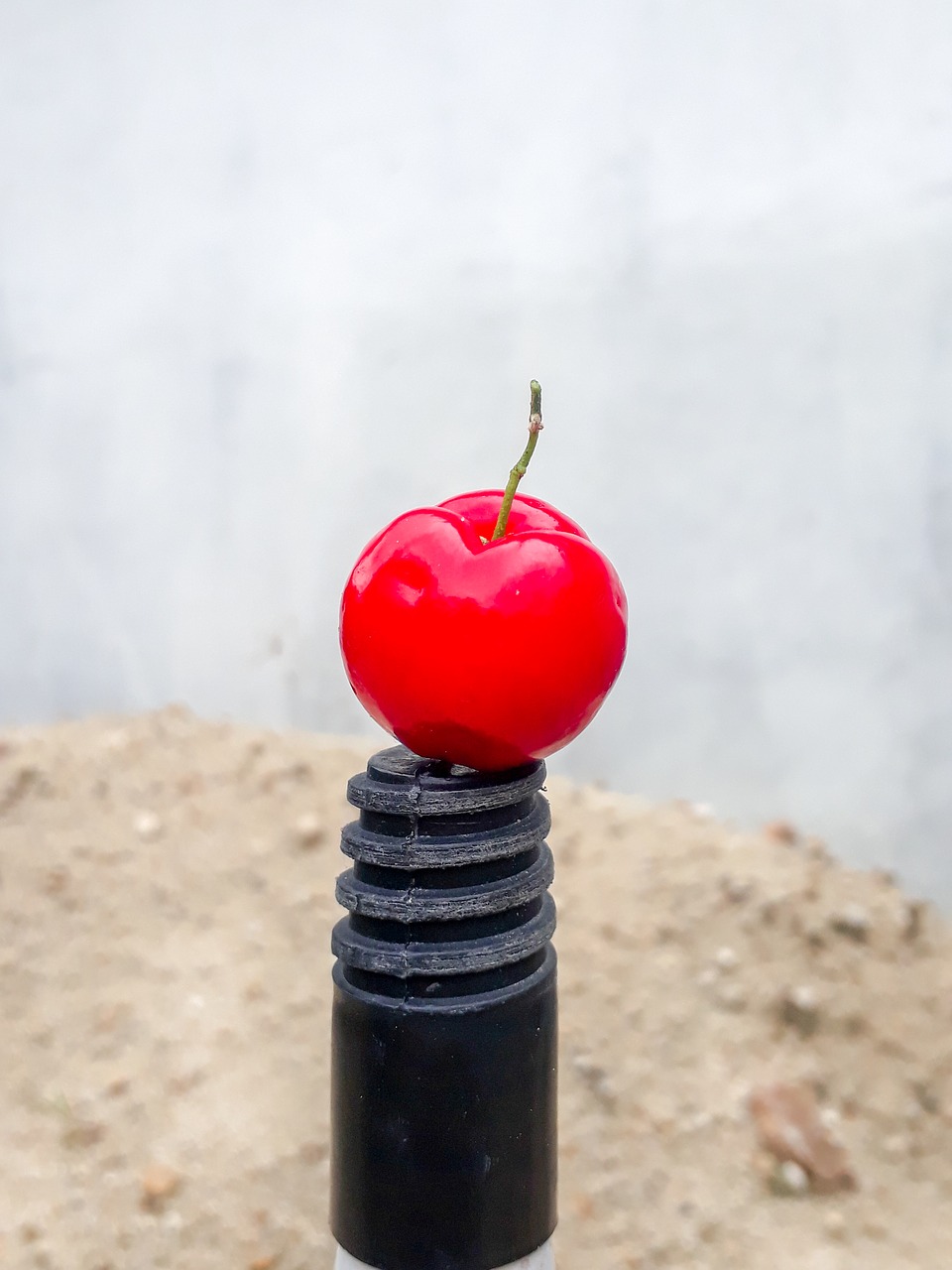 fruit  acerola  brazil free photo