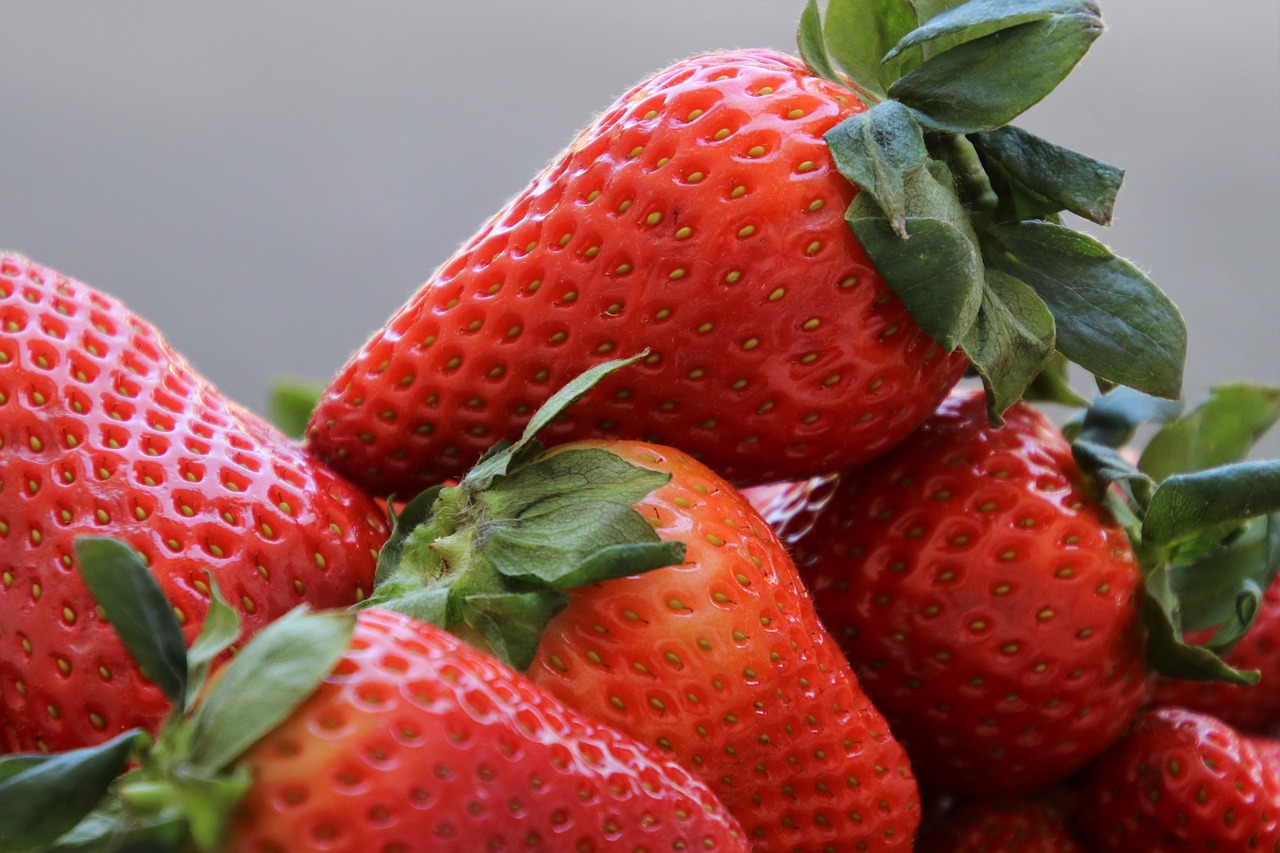 fruit  strawberries  bio free photo
