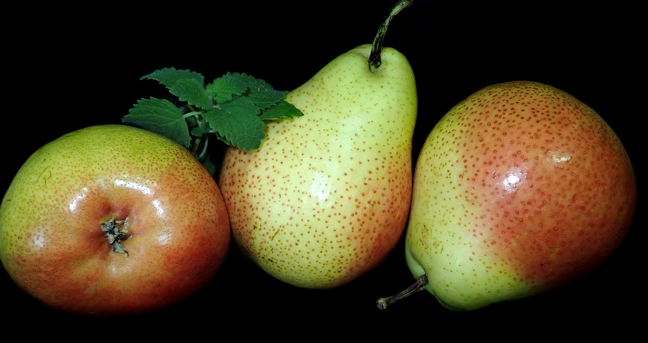 fruit  pears  ripe free photo